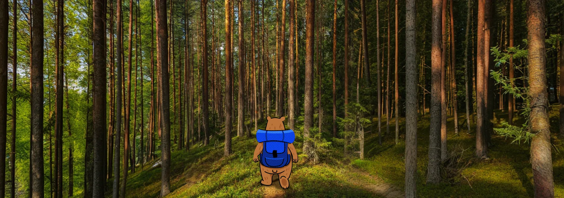 Лес